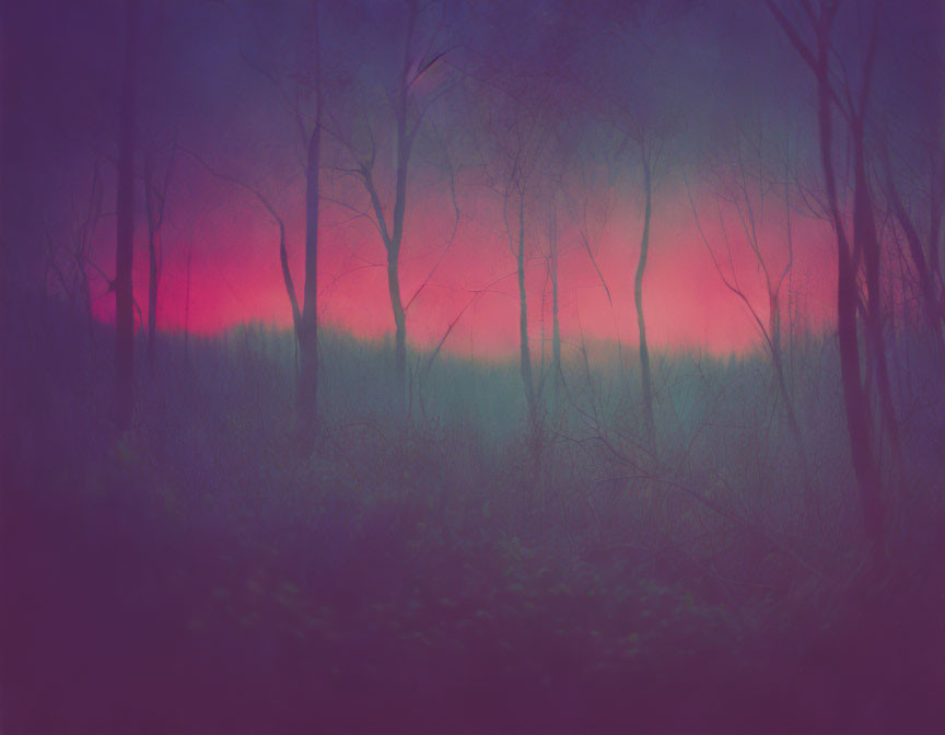 Misty forest at twilight with pink and purple sky