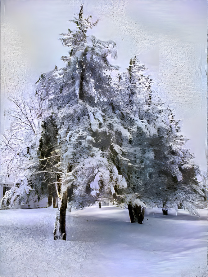 Snowy Trees