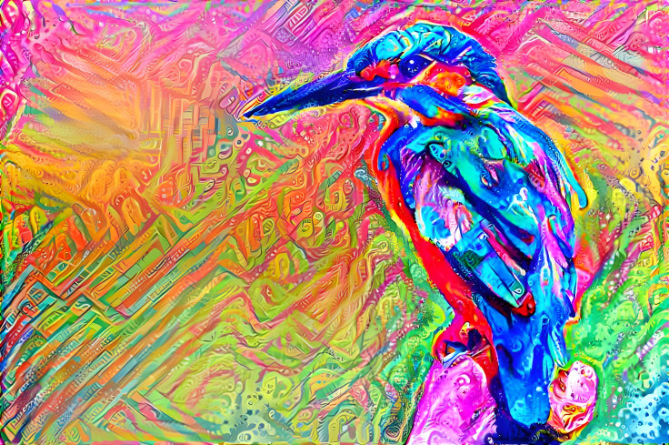 Colourful bird