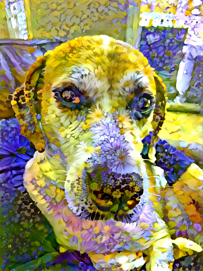 Flower Dog 