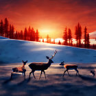 Snowy sunset scene with three deer, pine trees, and birds in the sky