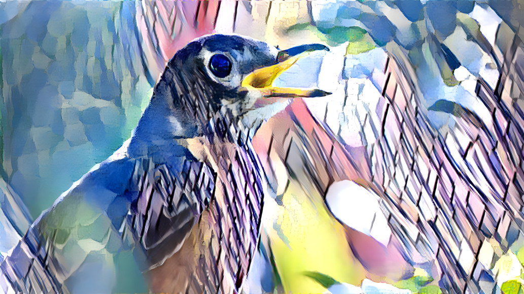 Bird