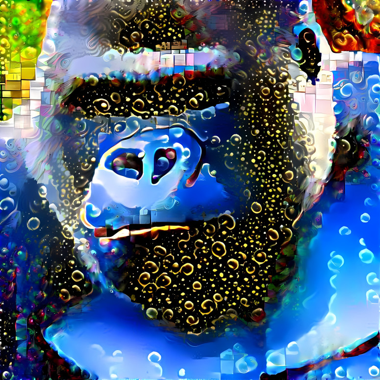 Ape _1