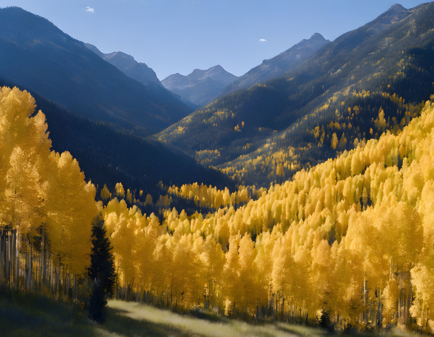 Scenic autumn landscape with aspen trees and mountain ranges