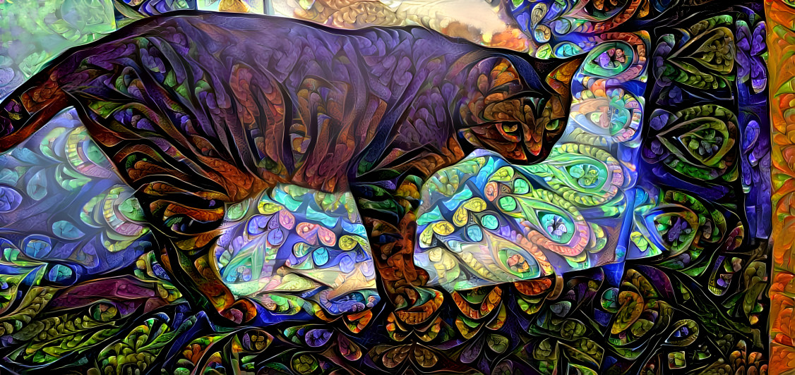 Spirit Cat