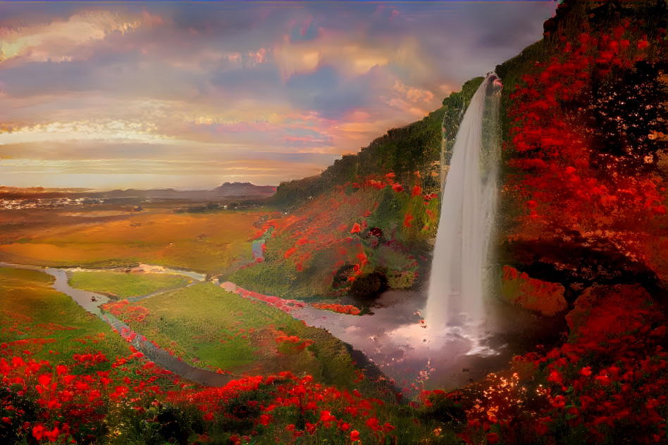 Poppy fields