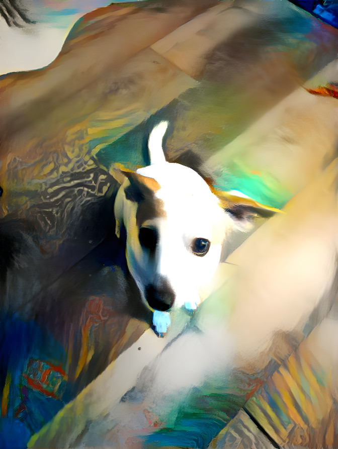 Arted dog