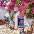 Colorful painting of charming street with blossoming trees and quaint houses