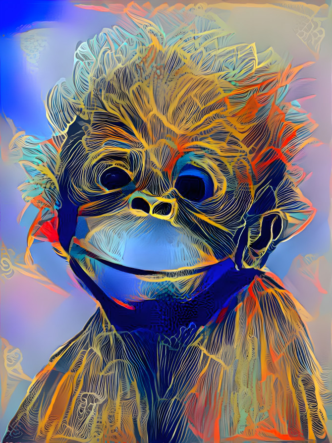 Baby Orangutan