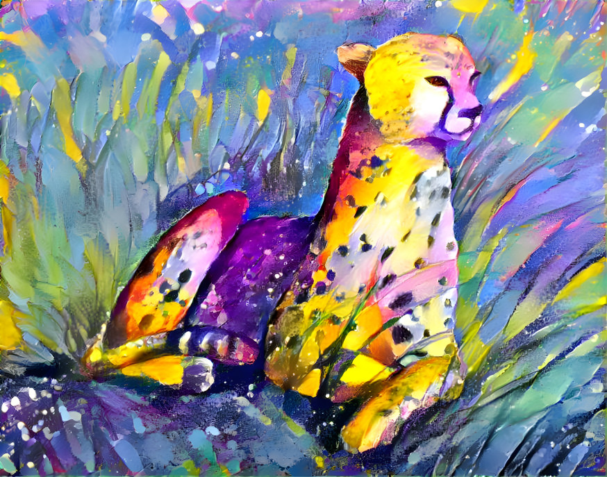 Cheetah