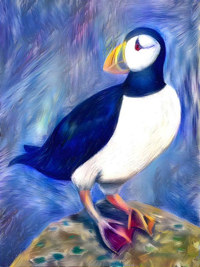 Puffin