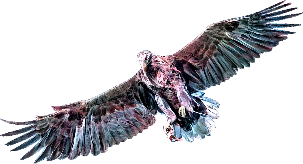 eagle