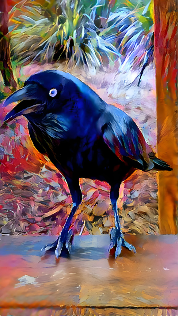 Crow