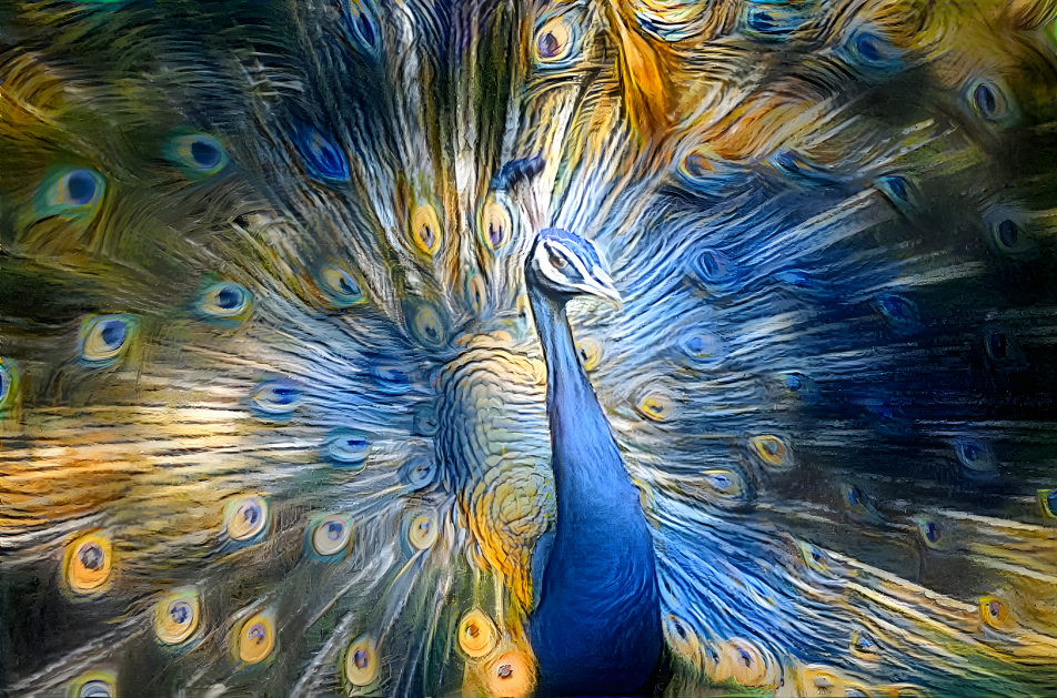 Peacock