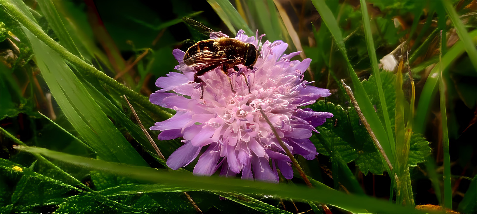 Hyper realistic Bee