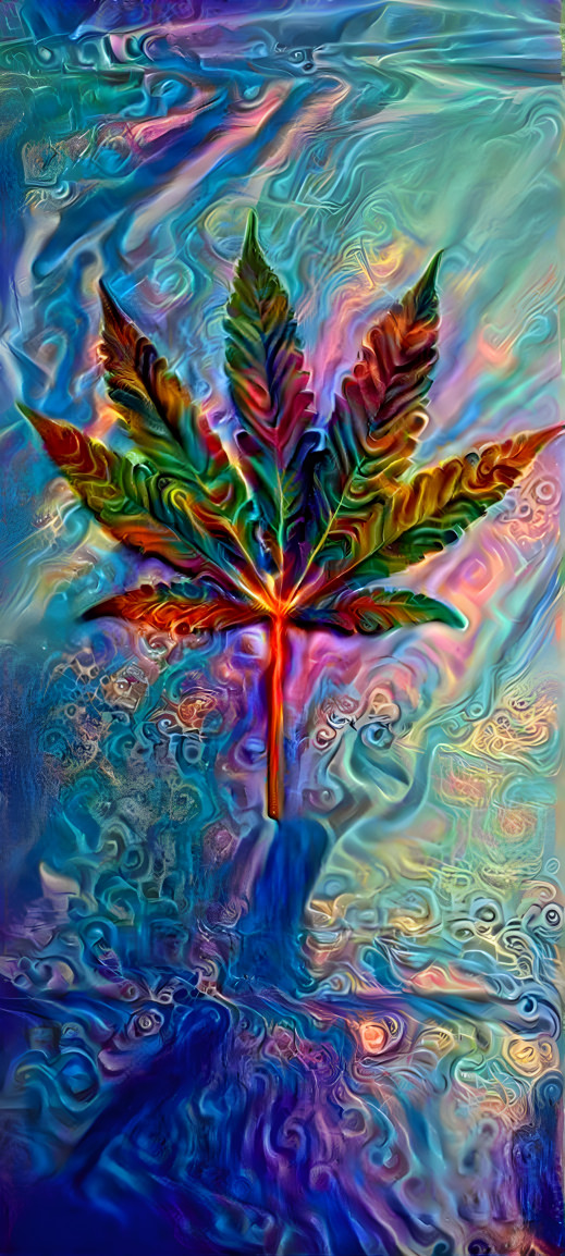 A Beautiful Leaf