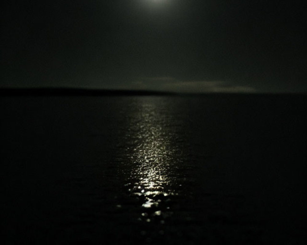 Bright Moon Reflecting on Calm Sea at Night