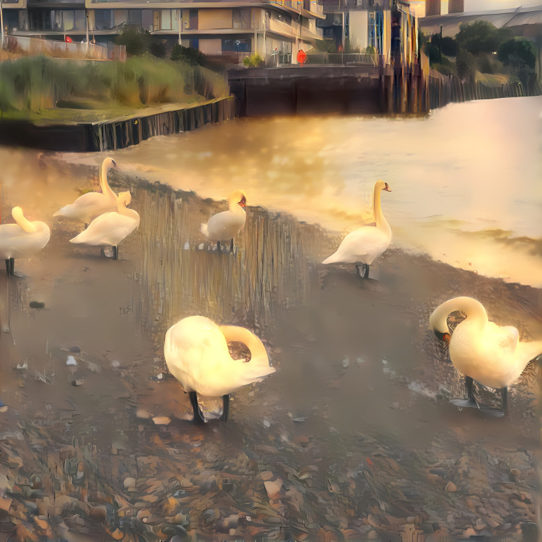 Seven swans ashore