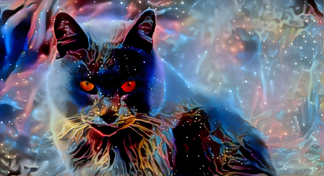 Galactic Cat