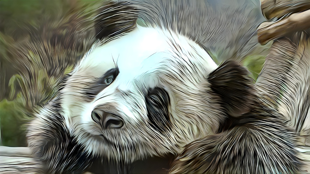 PANDA 