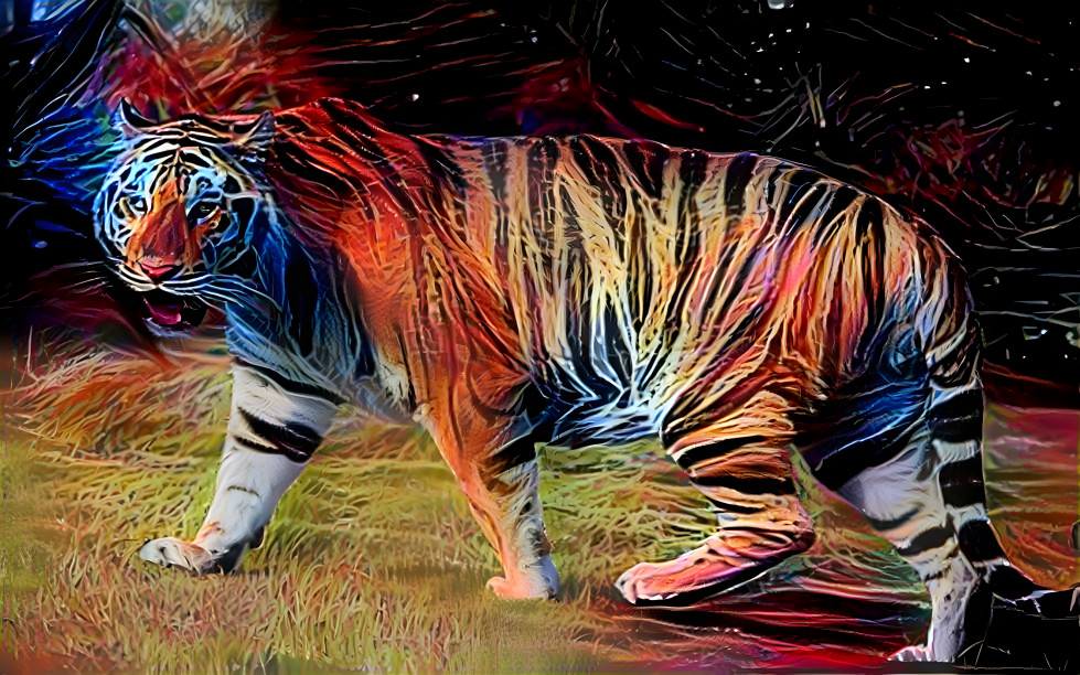 galaxy tiger