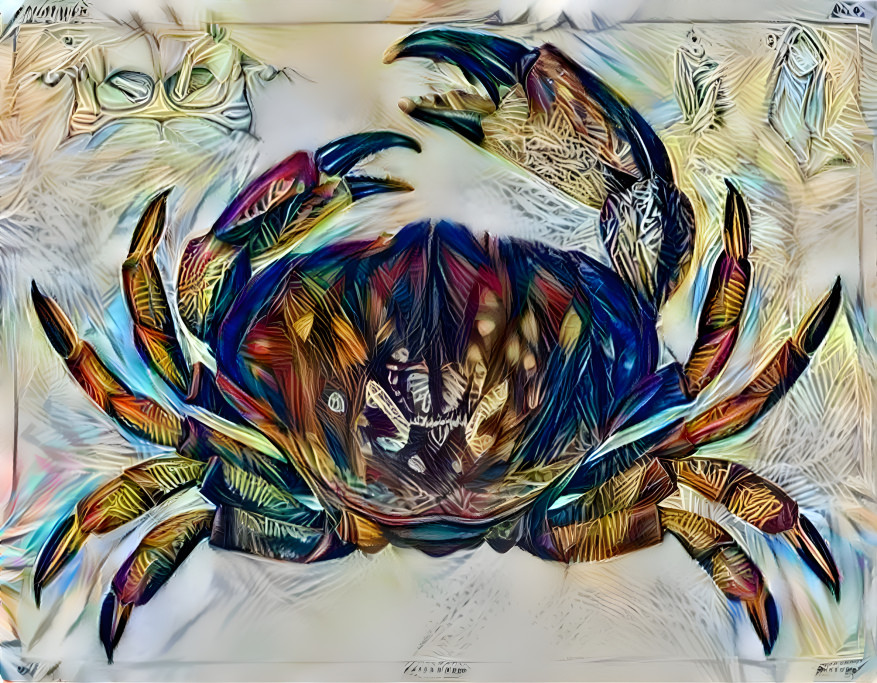 Colorful Crab