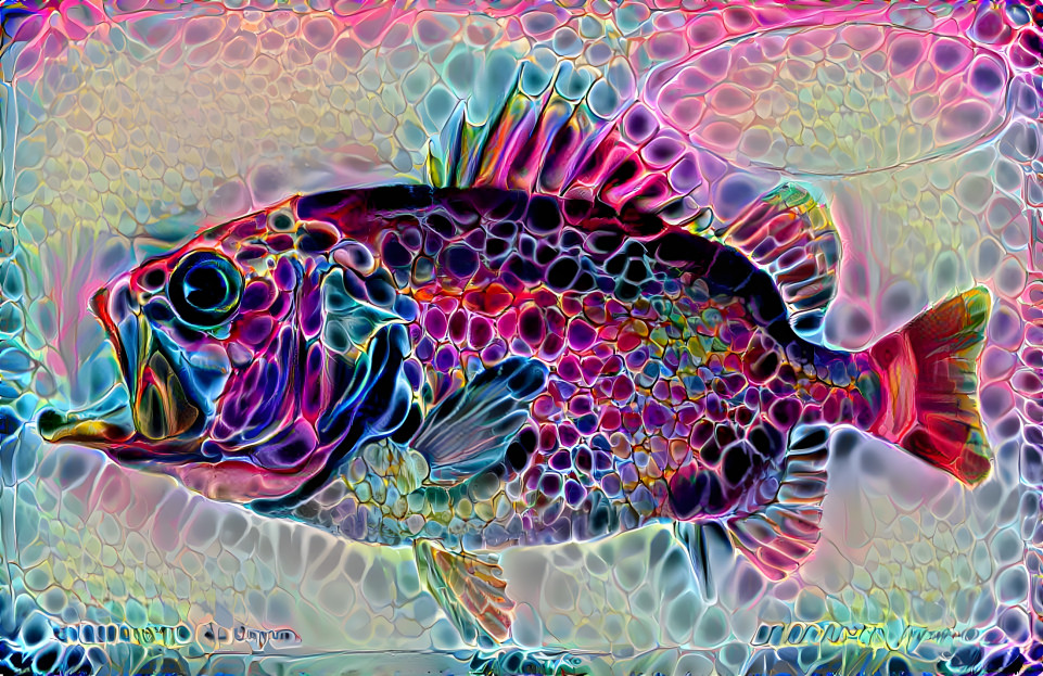 Neon Fish