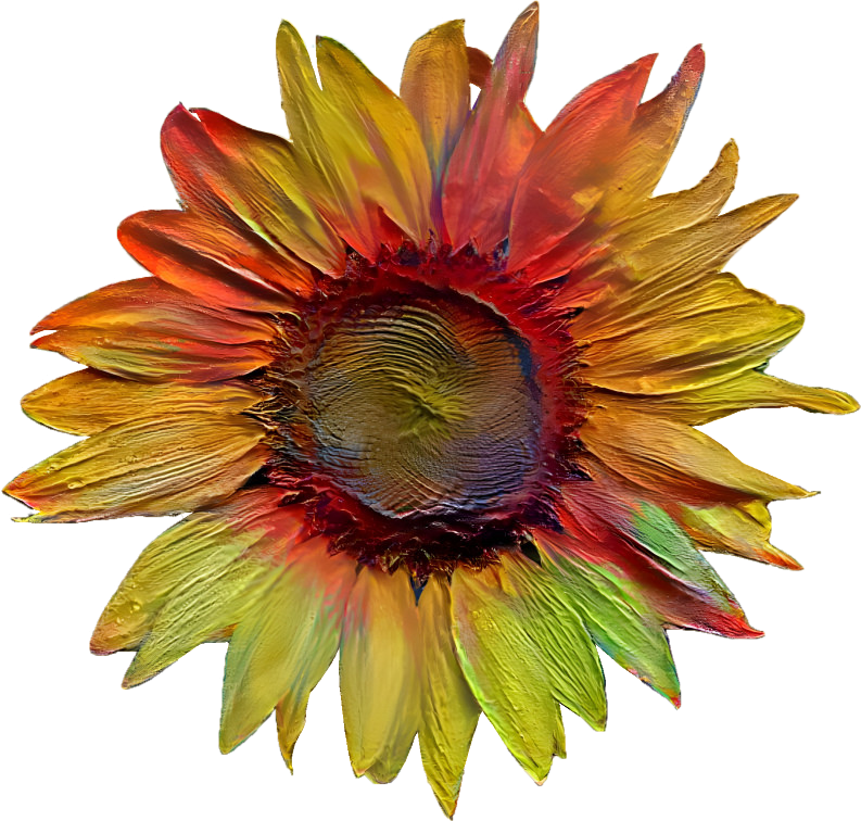 Painted Sunflower