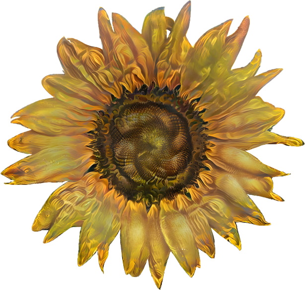 Painted Sunflower