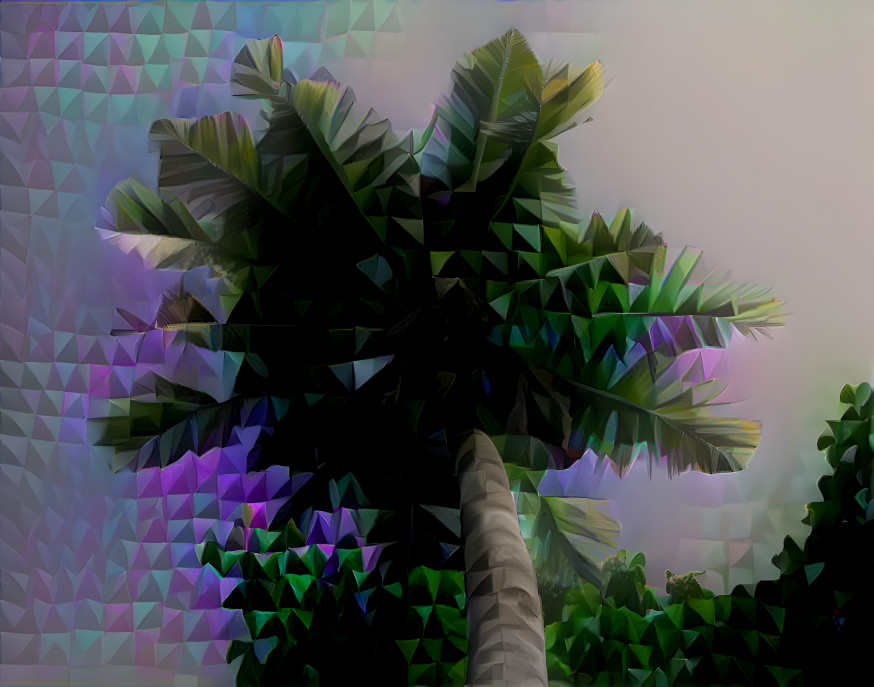 Palm tree