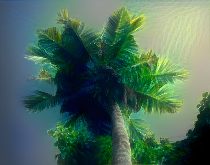 Artistic palm tree