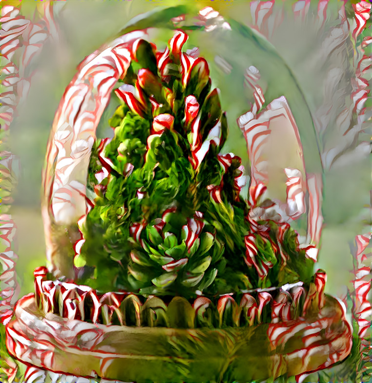 Candy cane terrarium