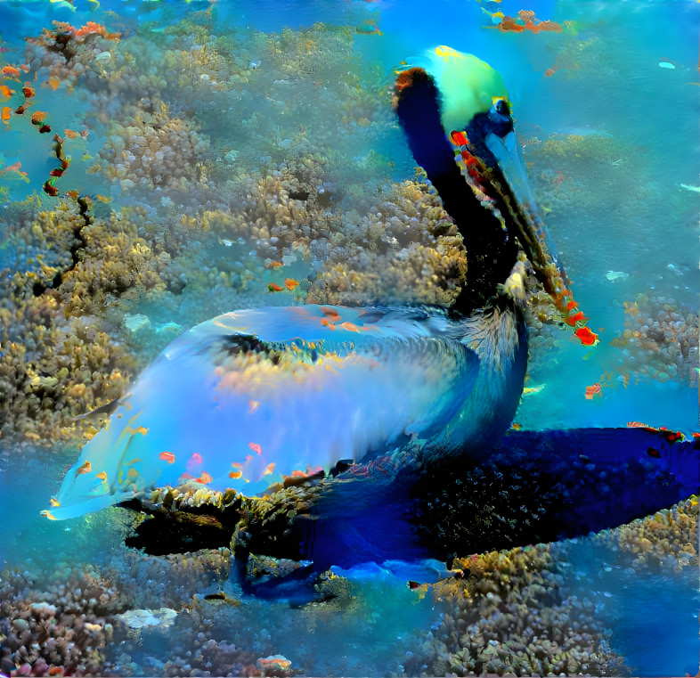 pelican reef