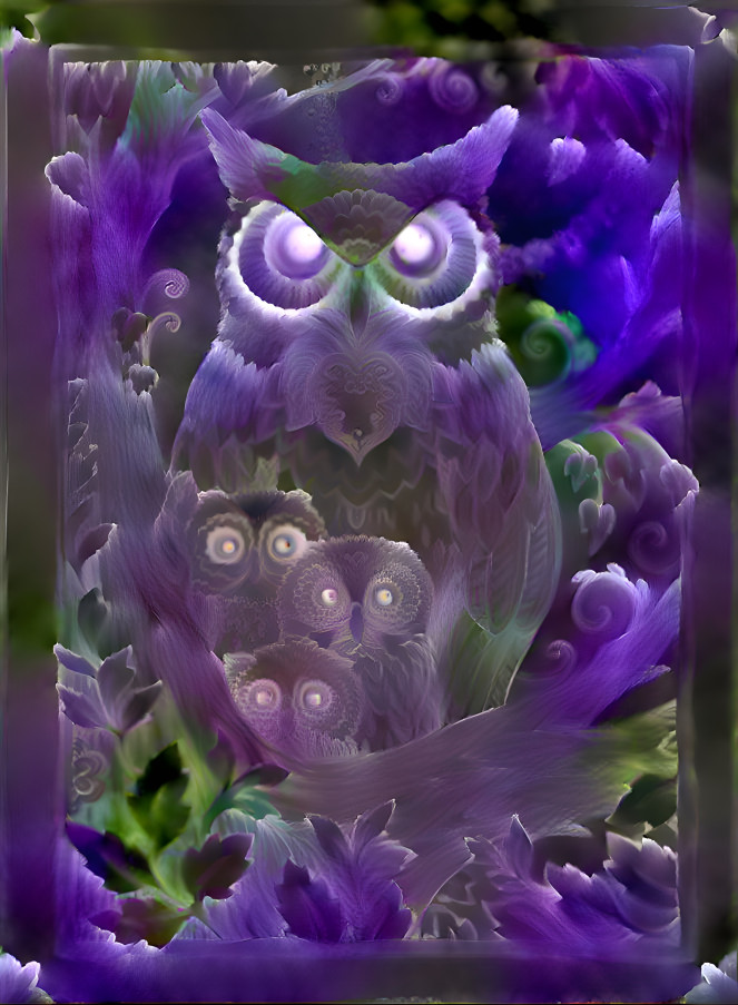 Tulip owl