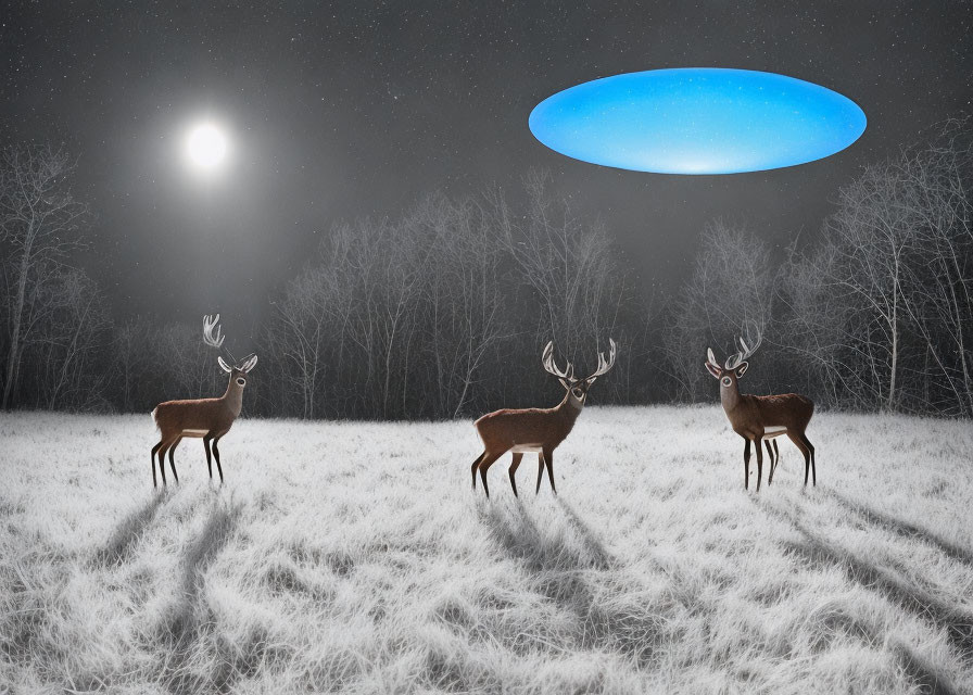 Three deer in snowy field under full moon with glowing UFO above