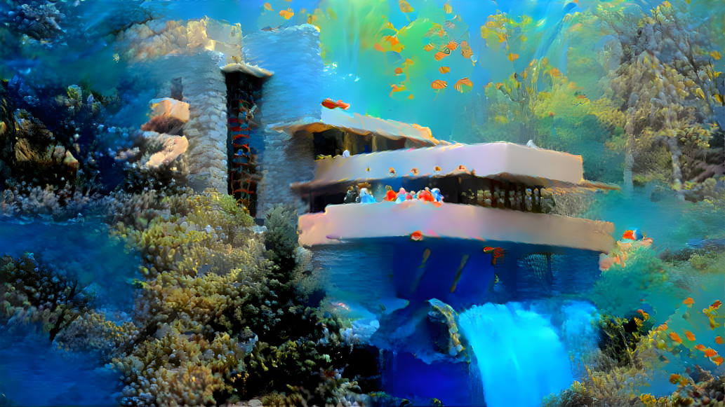 falling water coral reef