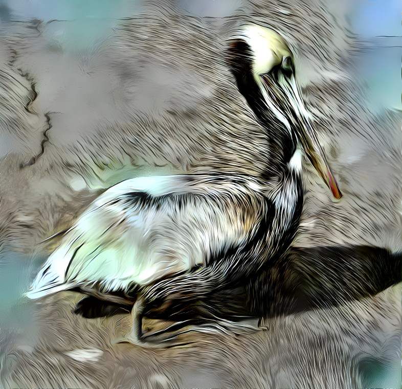 Pelican with copied cat deep style