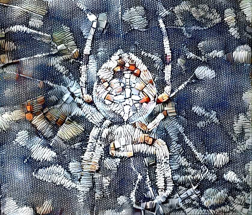 Spider embroidery