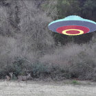 Mysterious UFO hovers over forest clearing with grazing deer