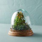 Miniature Fantasy Village Encased in Glass Dome on Gold-Toned Base