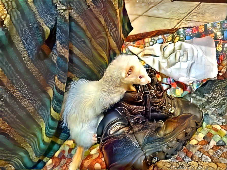 Ferretshoes