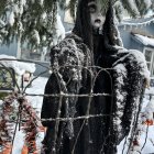 Spooky Skeleton and Ghost in Snowy Pine Branch Setting