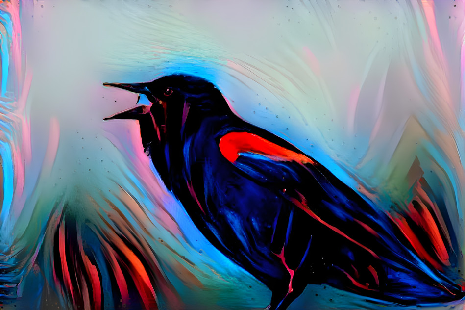 Red winged blackbird 