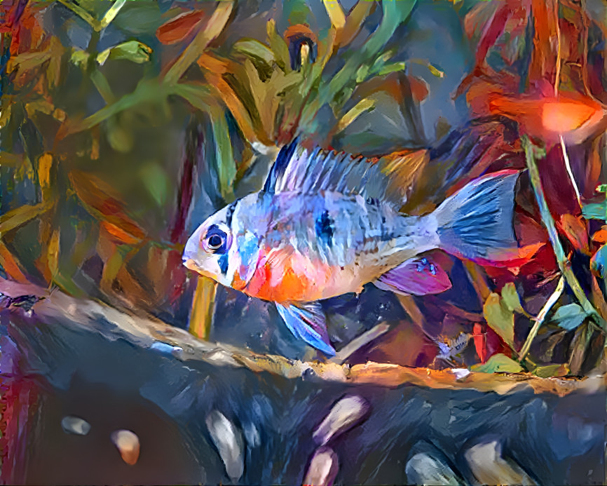 Cichlid painting 