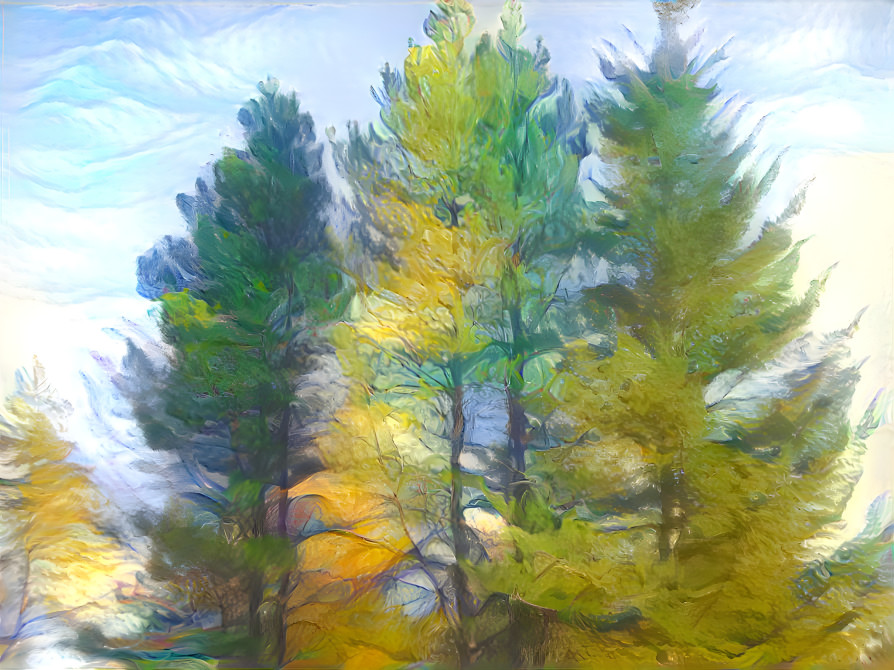 Painted Trees