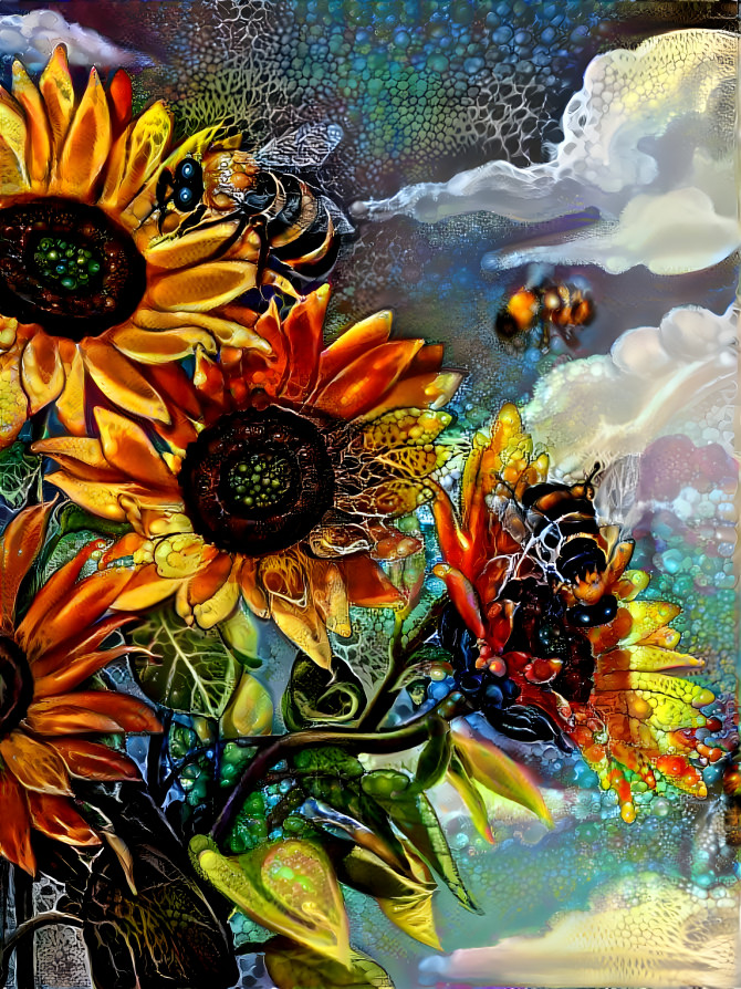 Sunflower Dream