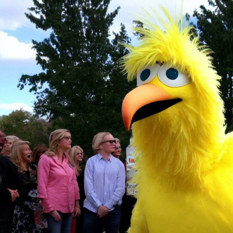 Colorful Big Bird Costume Stands Out Among Outdoor Crowd