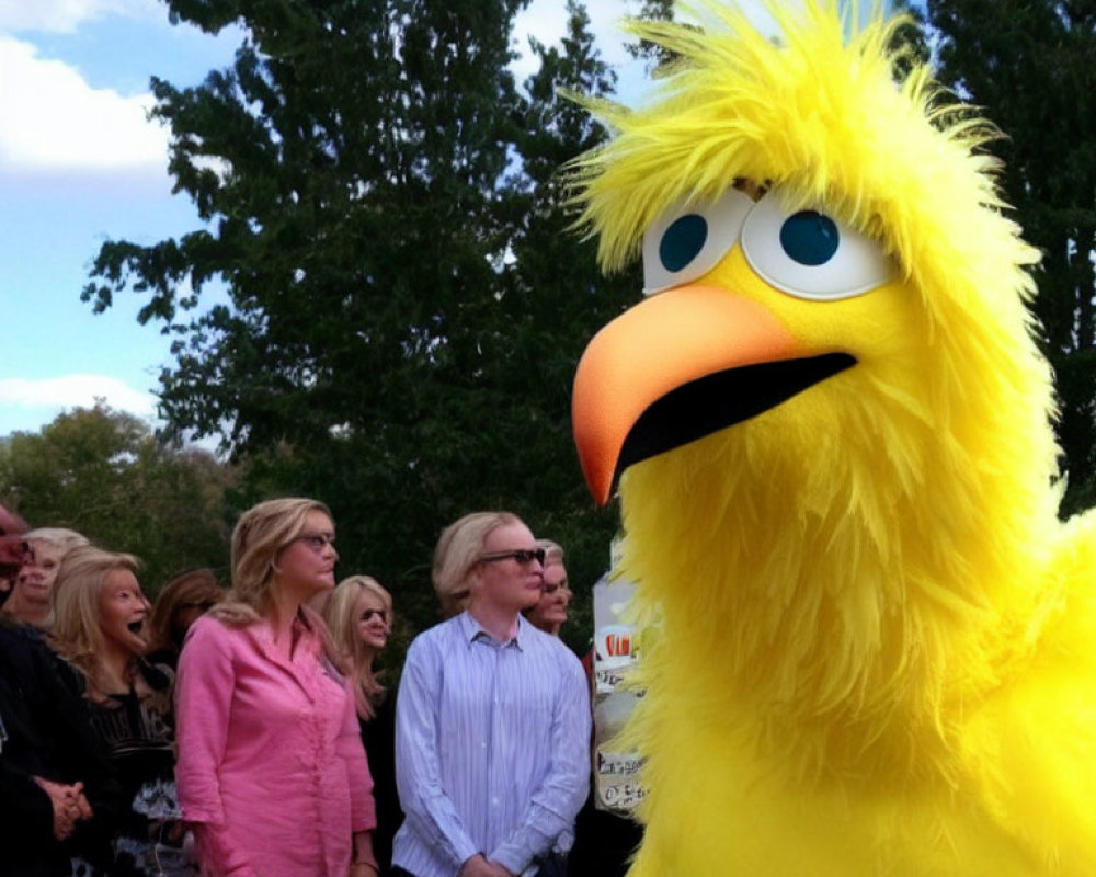 Colorful Big Bird Costume Stands Out Among Outdoor Crowd