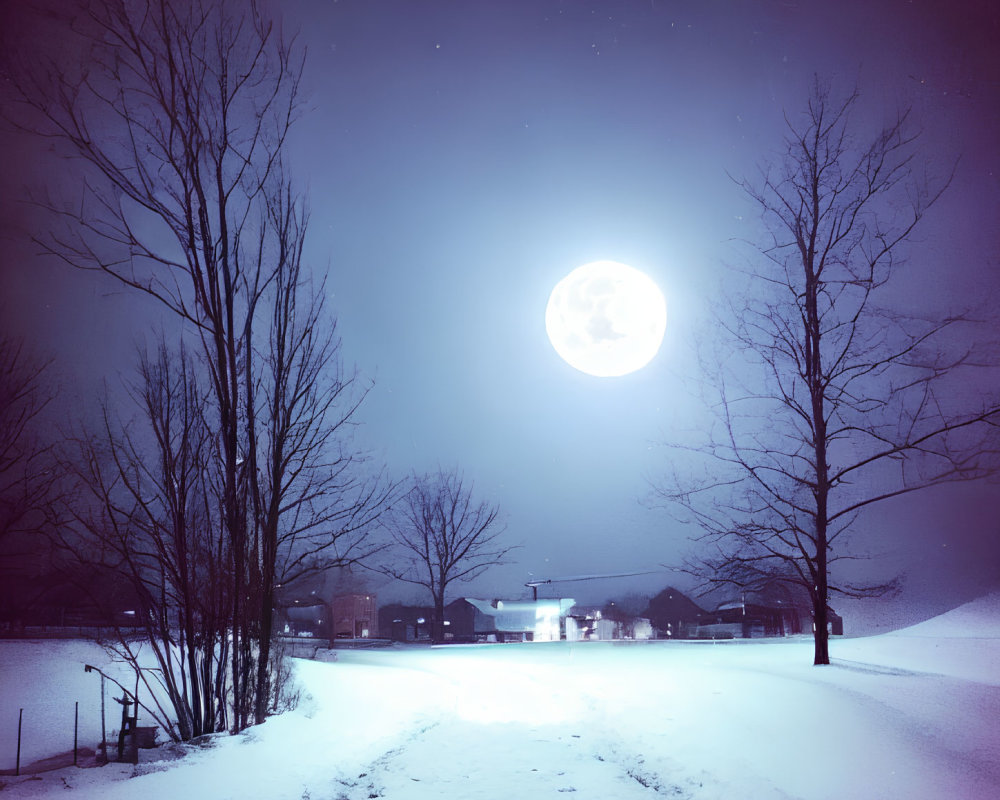 Snowy Night Landscape: Bare Trees, Bright Full Moon