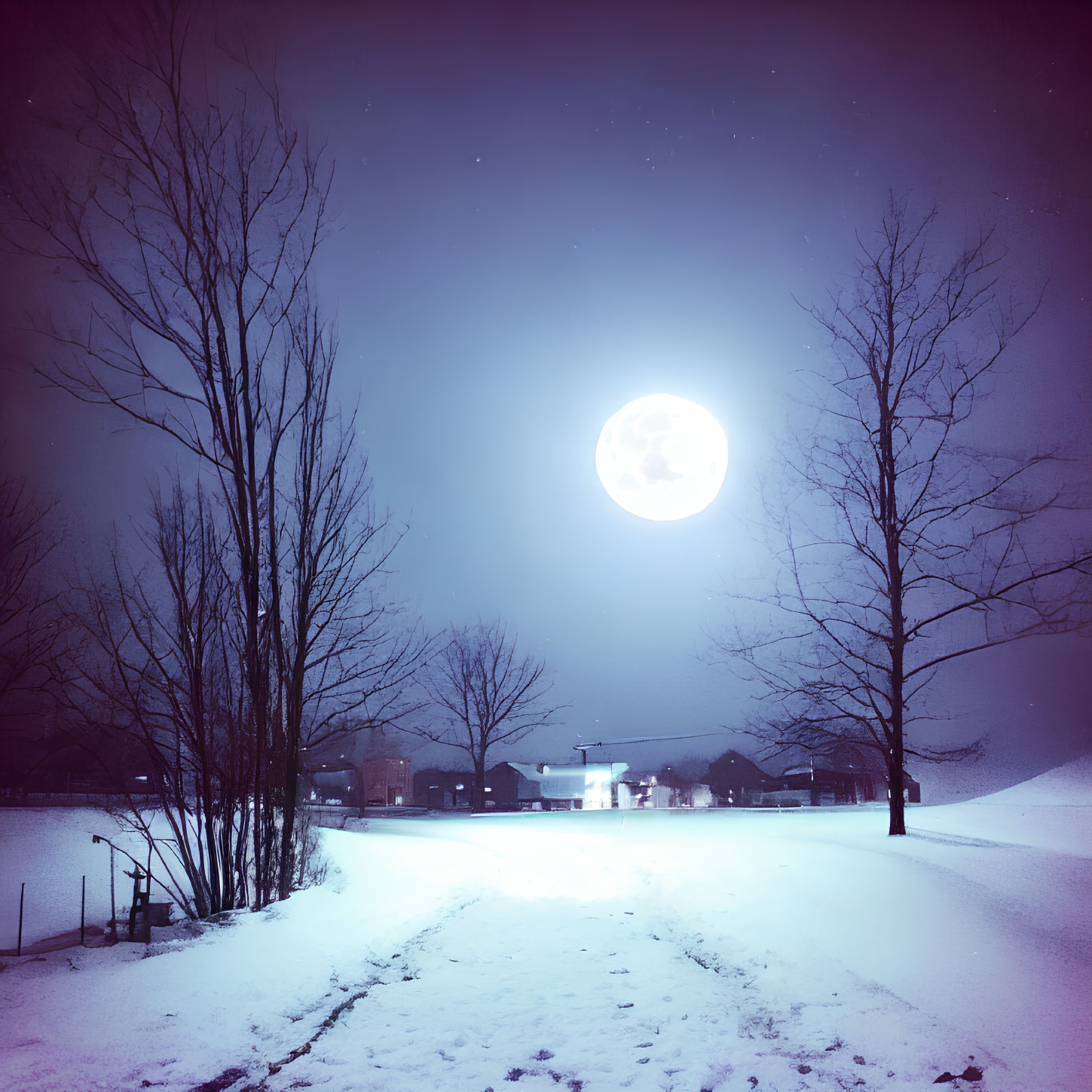 Snowy Night Landscape: Bare Trees, Bright Full Moon